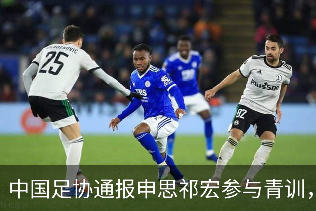 中国足协通报申思祁宏参与青训，重申终身禁赛令并严查准入